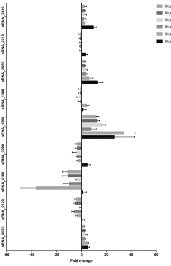 Figure 6.  sRNA expression in isogenic stepwise daptomycin-resistant mutants of E. faecium Aus0004