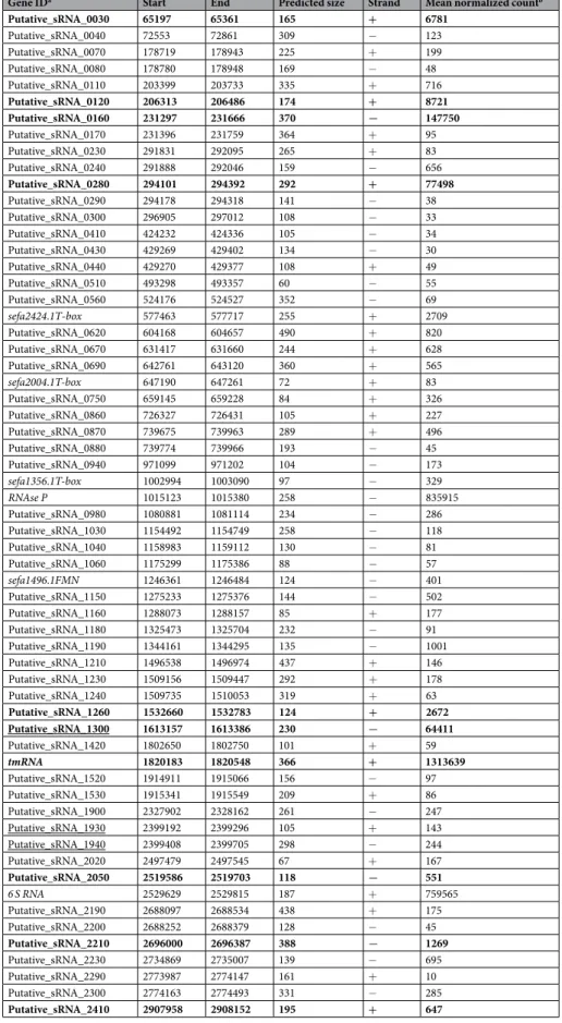 Table 1.  List of 61 candidate srna gene candidates expressed by E. faecium Aus0004.  a sRNAs detected by  comparative genomic analysis are indicated in italics; sRNAs validated by Northern blot are indicated in bold; 