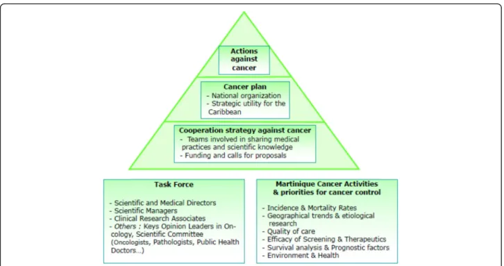 Fig. 1 Scientific cooperation in the field of cancer in Martinique