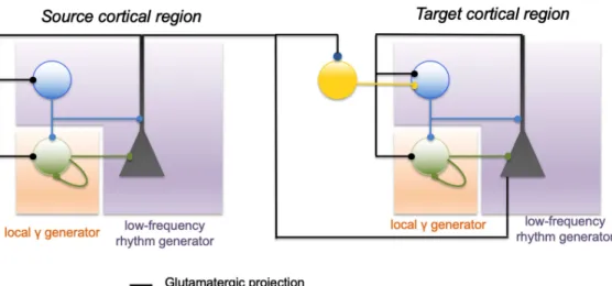 Figure 2. Basic (schematic) circuits involved in the generation of local and distant oscillations.