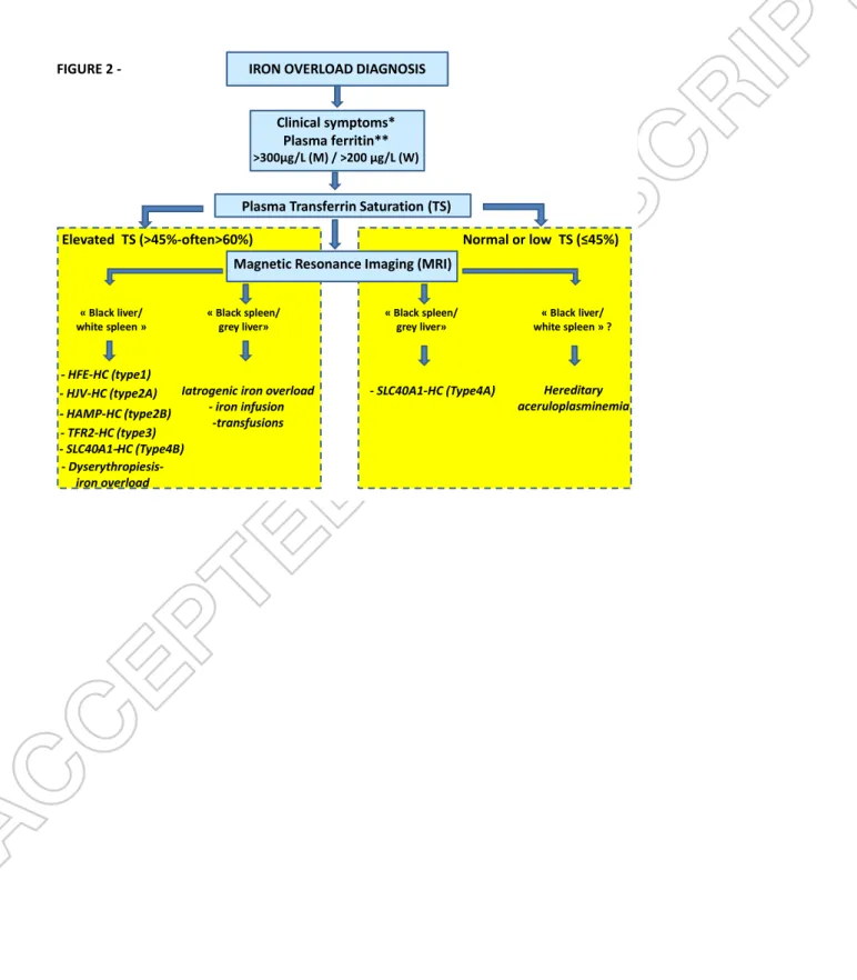 FIGURE 2. Schematic strategy for the diagnostis of iron overload diseases. M: men ; W: women