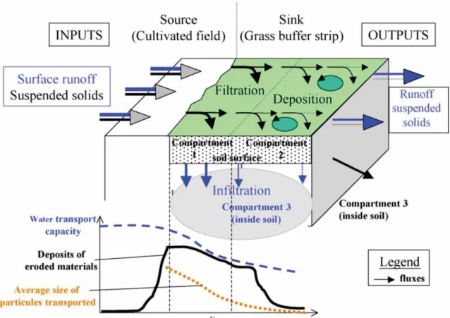 Figure 1.7 Schematic representation of the functioning of a vegetated buffer zone. (Dorioz  et al., 2006) 