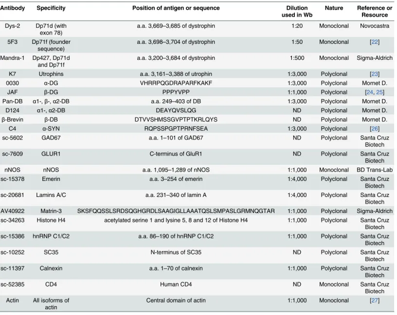 Table 1. Characteristics of antibodies used in this study.