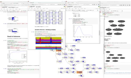 Figure 1: Some Python notebooks using pyAgrum.
