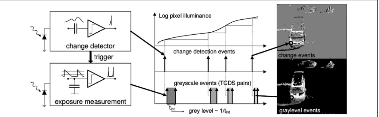 FIGURE 1 | Functional diagram of an ATIS pixel (Posch et al., 2011). Two types of asynchronous events, encoding change (top) and illuminance (bottom) information, are generated and transmitted individually by each pixel in the imaging array when a change i