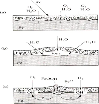Figure I.10. Mécanismes de dégradation des films de peinture : dégradation du polymère due  aux radiations ultraviolettes ou à une attaque chimique (a), formation de  cloques par osmose (b), décollement dû à la formation de piles de corrosion  [135]