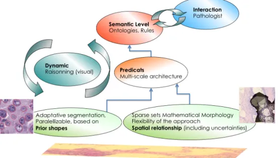 Figure 4: Overall integration of radiometric and architectural scalable imaging fonctions