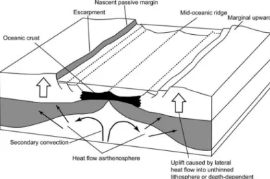 Figure 1.11- Schéma illustrant la  surrection des épaules de rift par  flux thermiques latéraux et  convection au sein de  l’asthénosphère (D’après  Summerfield, 1991)