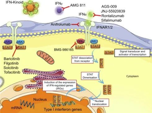 Figure 1 Drugs targeting of IFNs and their downstream pathways in SLE.