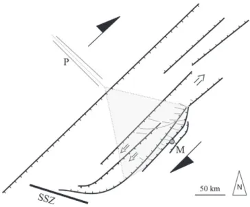 Fig. 8. Displacements of the three permanent GNSS stations. Horizontal rates are shown in black arrows, relatively to MAUA