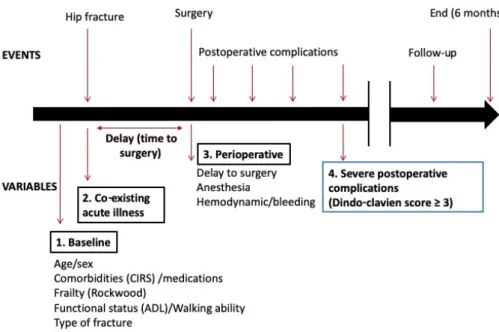 Figure 1. Clinical model for estimating attributable mortality in older patients with hip fracture