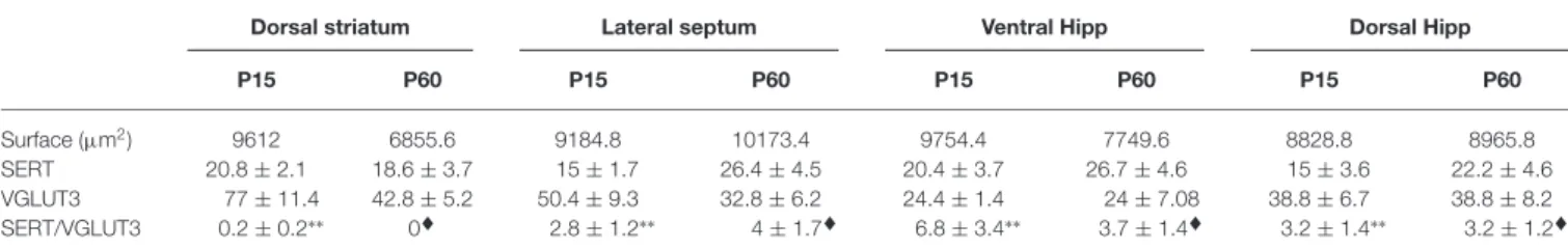 TABLE 1 | Density of SERT, VGLUT3 and SERT/VGLUT3 axon terminals in immature and mature VGLUT3 WT mice.