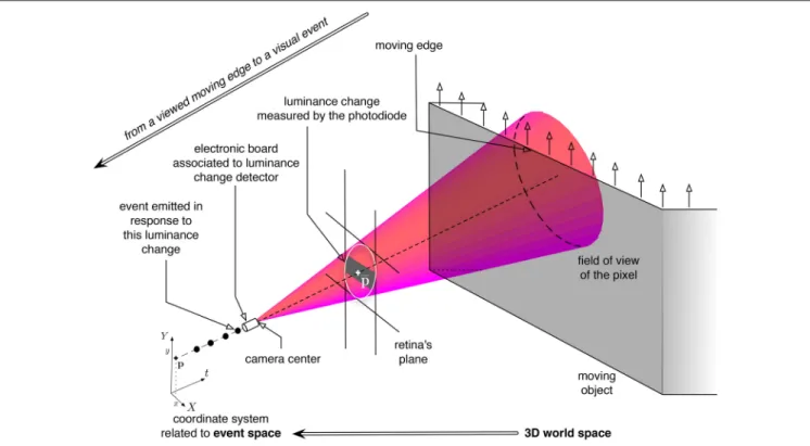 FIGURE 2 | Illustration of the luminance change measured by a neuromorphic pixel, modeled as a cone-pixel (Debaecker et al., 2010), viewing an moving edge