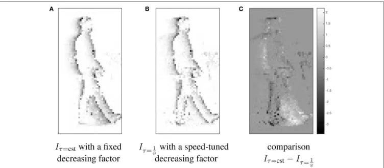 FIGURE 3 | Illustration of different strategies for the exponential decay function; comparison between synchrony images I built applying exponential temporal kernels with a constant decreasing factor (A) and with a speed-tuned decreasing factor (B) to an e