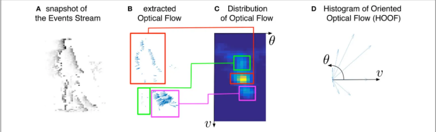 FIGURE 4 | Illustration of the global motion-based feature for event-based vision: from the stream of events (A), the optical flow (B) is extracted