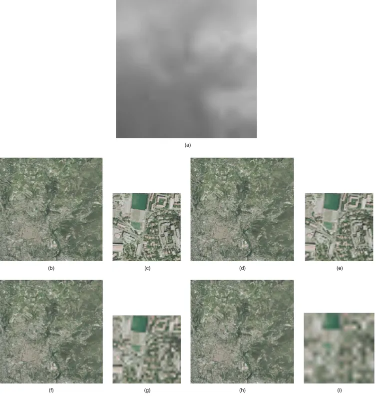 Fig. 9 Approximations corresponding to the 3.18-m error DEM 共 L− 1 approximate 兲 : level-L ⬘ DEM is embedded in the lowest 3L ⬘ + 1 DWT domain subbands of level-four Cr-texture