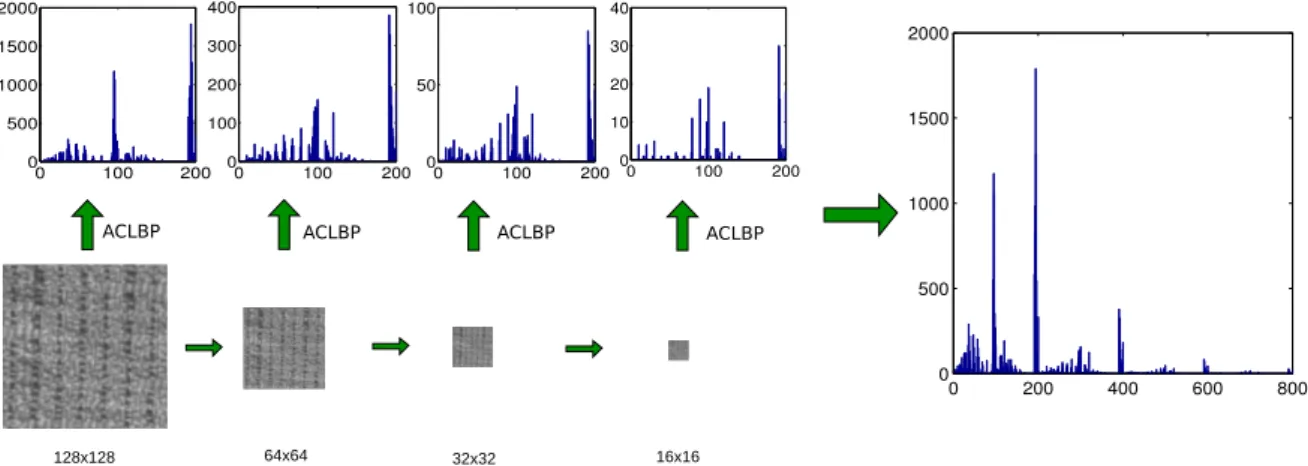 Fig. 2. From local to global features using the pyramidal approach.