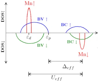 Fig. 3.5 – Repr´esentation sch´ematique de la densit´e d’´etats des DMS II-VI