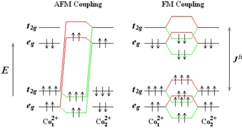 Fig. 4.4 – Repr´esentation sch´ematique de l’hybridation entre les niveaux 3d de deux Co premiers voisins coupl´es ferromagn´etiquement (FM) et  antiferro-magn´etiquement (AFM) dans le cas de la LSDA