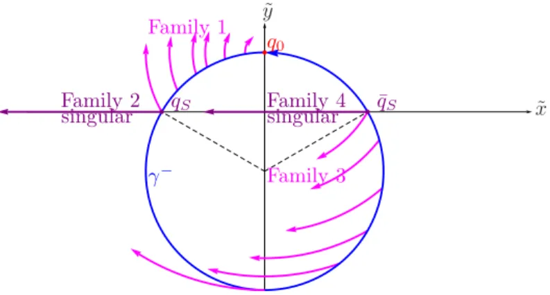 Figure 7: Extremal trajectories bifurcating from γ −