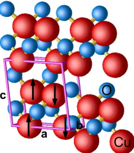 Figure 1: Representation of the monoclinic structure of CuO. Copper and oxygen atoms are represented by red and blue spheres respectively