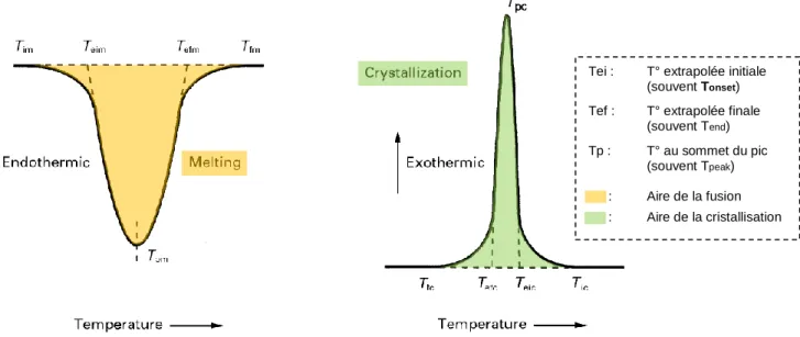 Figure 3-1 : Exemple de détermination des températures caractéristiques de la fusion ou cristallisation 1