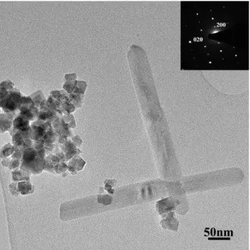 Fig. 2 TEM image of CoFe 2 O 4  nanoparticles and goethite rods. The electron diffraction pattern of  one rod like grain was indexed in the goethite structure with a [001] zone axis (inset) 