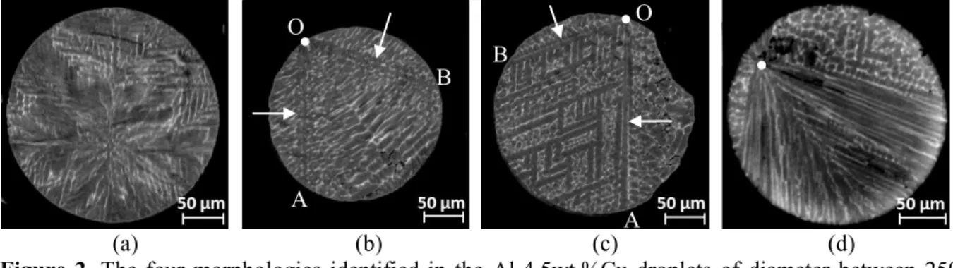 Figure  2. The  four  morphologies  identified in  the  Al-4.5wt.%Cu  droplets  of  diameter  between  250  and 300 µm: (a) highly branched morphology, (b) highly branched morphology with  visible primary  arms, (c) dendritic morphology and (d) “finger bun