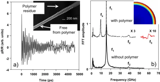 FIG. 4. Transient sample reflectivity obtained on a supported nanowire sys- sys-tem composed by two closed nanowires