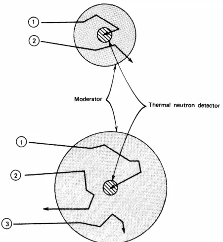 Figure 2.1 : Repr´esentation sch´ematique des possibles parcours ou histoires de neutron dans des d´etecteurs ` a sph`ere mod´eratrice