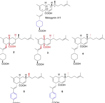 Figure 1. Structure of natural meiogynin A 1 and synthetic analogues 2-6. 