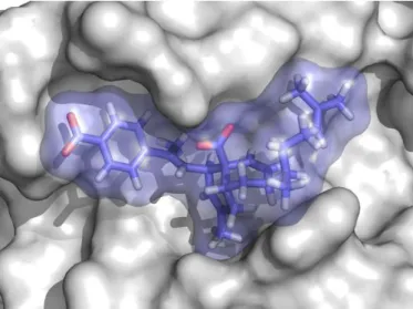 Figure  5.  Docking  complex  of  compound  6,  colored  in  blue,  with  a  selected conformation of Bcl-xL.