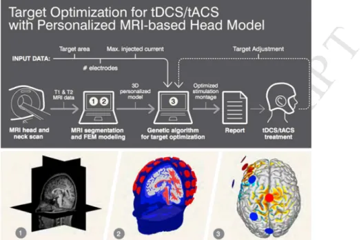 Figure 1. Workflow for the creation of a biophysical model and for model-driven tCS optimization