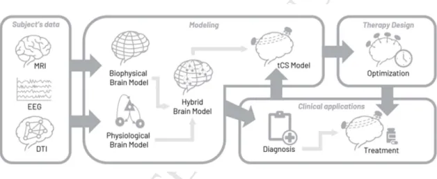 Figure  2.  Workflow  for  the  creation  of  hybrid  models  model-driven  tCS  optimization