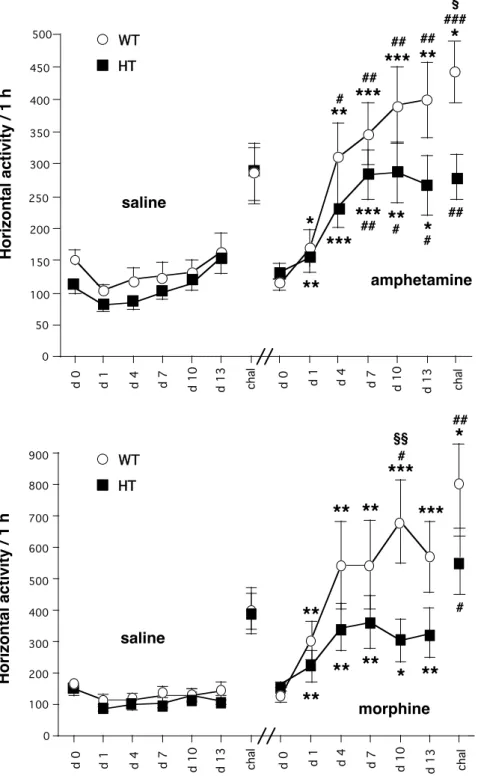 Figure 2. Effects of repeated administration of d-amphetamine and morphine in CN98 WT and mutant  mice
