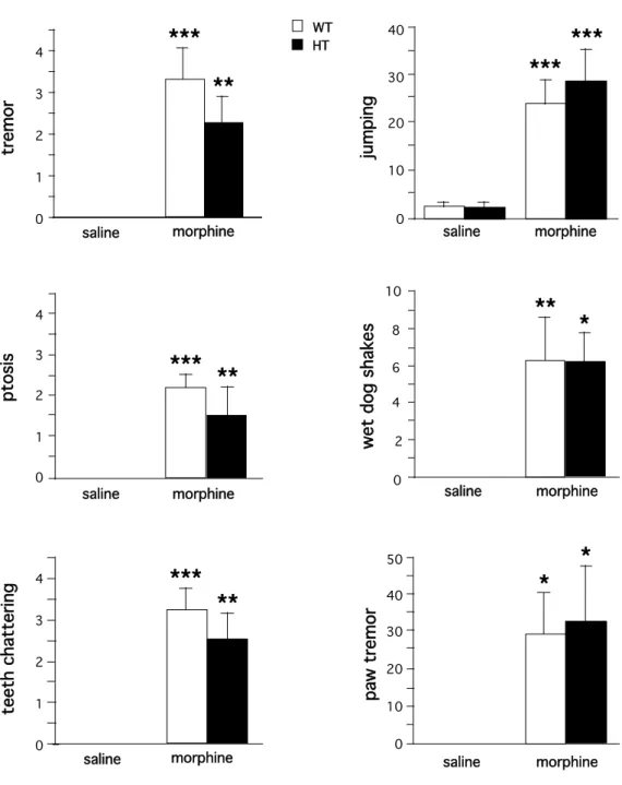 Figure  4.  Naloxone-precipitated  morphine  withdrawal  syndrome  in  CN98  WT  and  mutant  mice