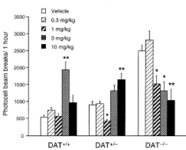 Figure  1.  Locomotor  dose-response  to  acute  d -amphetamine  in  DAT+/+,  DAT+/-, and DAT-/- DAT-/-mice