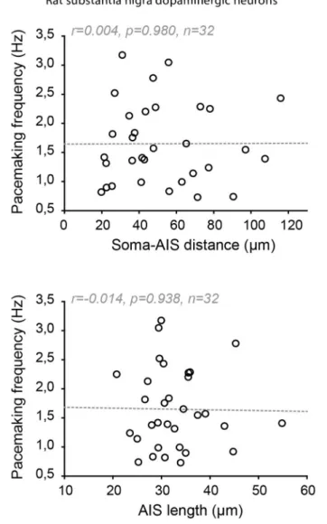 FIGURE 7 | Absence of co-tuning of AIS geometry and firing frequency in rat dopaminergic neurons of the substantia nigra pars compacta