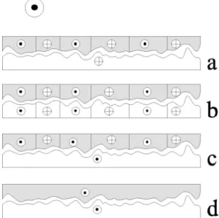 FIG. 6. Sketch showing the evolution of the domain structure in each magnetic layer, the soft Co layer 共 bottom layer, white 兲 and the hard CoOx layer 共 top layer, gray scale 兲 