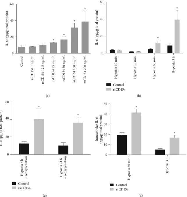 Figure 5: CD154 stimulates early IL-6 production by HK-2 cells under hypoxic conditions