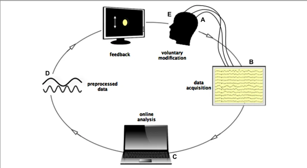 FIGURE 1 | Loop of online data streaming during Neurofeedback.