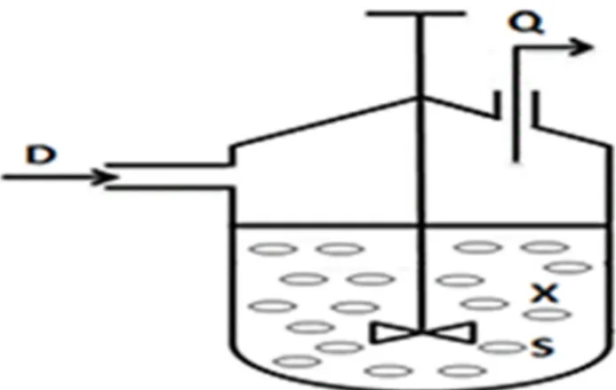 Figure 1. Bioreactor basic schematics.