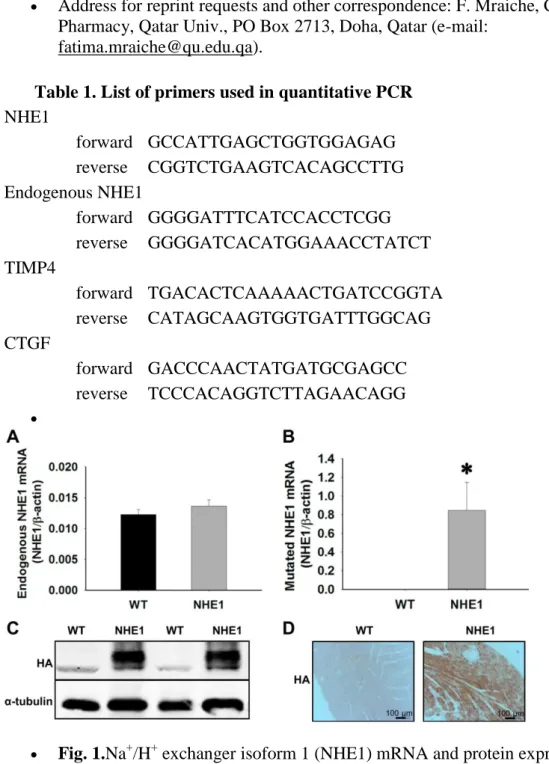 Table 1. List of primers used in quantitative PCR  NHE1          forward  GCCATTGAGCTGGTGGAGAG          reverse  CGGTCTGAAGTCACAGCCTTG  Endogenous NHE1          forward  GGGGATTTCATCCACCTCGG          reverse  GGGGATCACATGGAAACCTATCT  TIMP4          forward