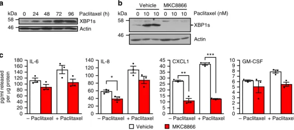 Fig. 5 Paclitaxel increases IRE1-dependent cytokine secretion. a MDA-MB-231 cells were treated with 10 nM paclitaxel for the indicated times, and cell lysates were immunoblotted for XBP1s and Actin