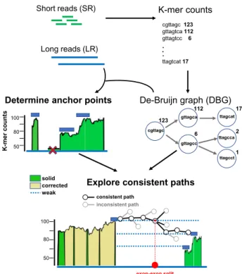 Figure 1 illustrates the methodology behind TALC and highlights how it considers transcript abundance and architecture to correct long reads