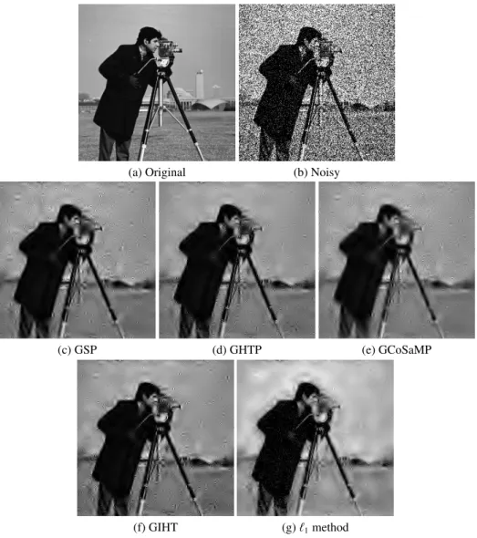 Figure 1 shows the results for the Cameraman with a maximal intensity of 5 (high noise).