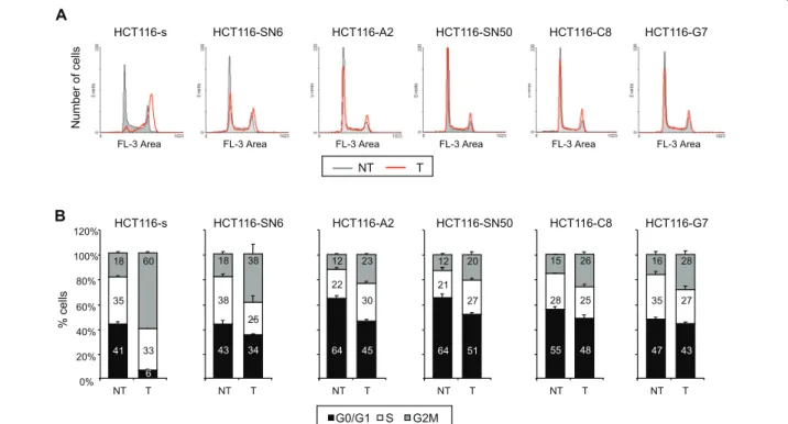 Figure 6 Effects of SN38 on cell cycle distribution. A) Cell cycle profiles of SN38 sensitive and resistant HCT116 cell lines treated (T, red line) or not (NT, grey line) with 20 nM SN38 for 24 hours