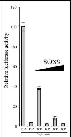 Figure  S3  :  SOX9  retro-inhibits  the  β- β-catenin/TCF  transcriptionnal  activivity: