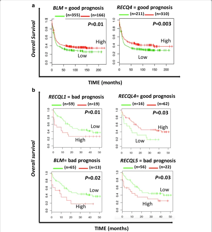 Fig. 2 Overall survival related to RECQ helicase gene expression in acute myeloid leukemia with abnormal karyotype (a) and normal karyotype (b)