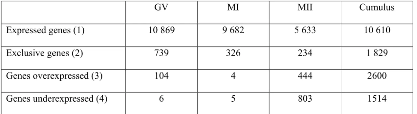 Table 1 : genes expressed in oocytes and cumulus cells 